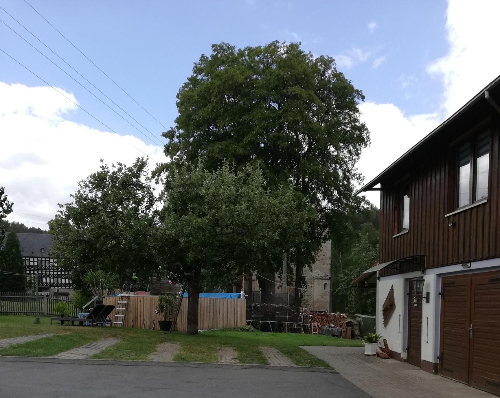 Apartment An Der Klosterruine Mit Kostenfreien Parkplatz Und Wlan